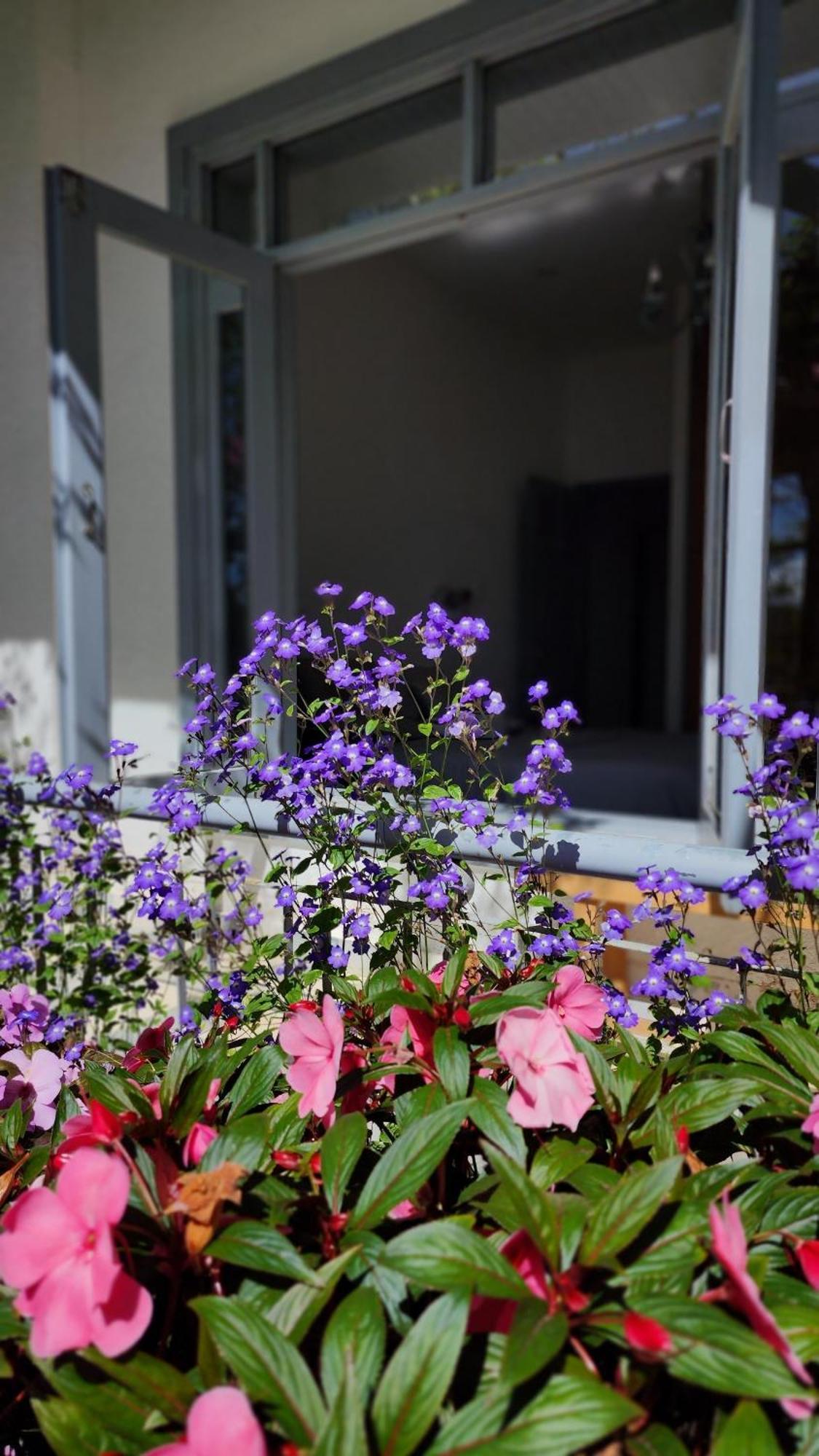 Tia Du Villa Homestay ดาลัด ภายนอก รูปภาพ