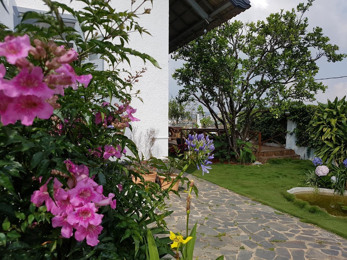 Tia Du Villa Homestay ดาลัด ภายนอก รูปภาพ